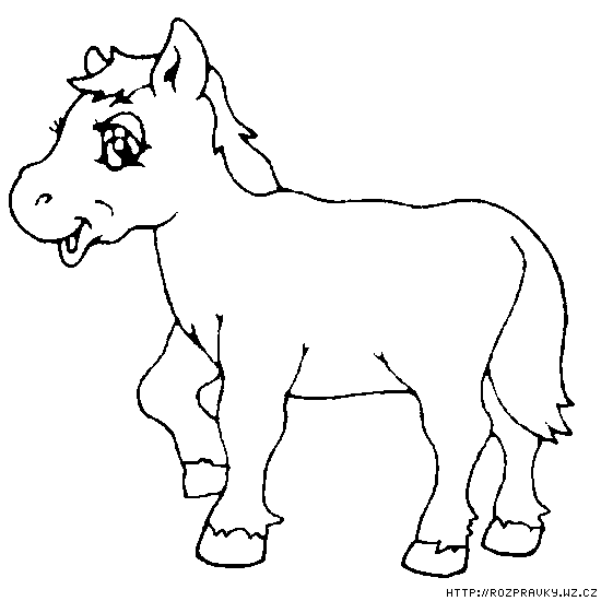konik-i.gif