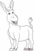 how-to-draw-donkey-from-shrek-step-5.jpg